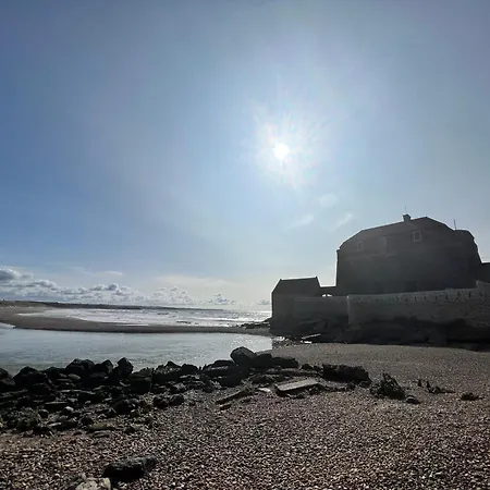 度假居 Les Pins : Rez De Jardin Proche *